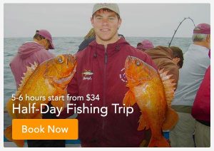 Newport Beach Half Day Fishing