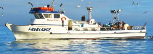 Private Rental Deep Sea Fishing