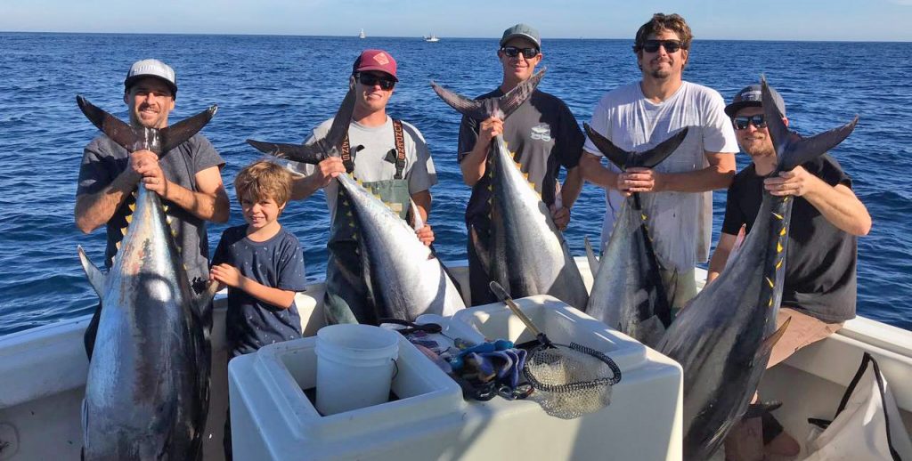 Choosing a Charter Boat for Sportfishing in San Diego