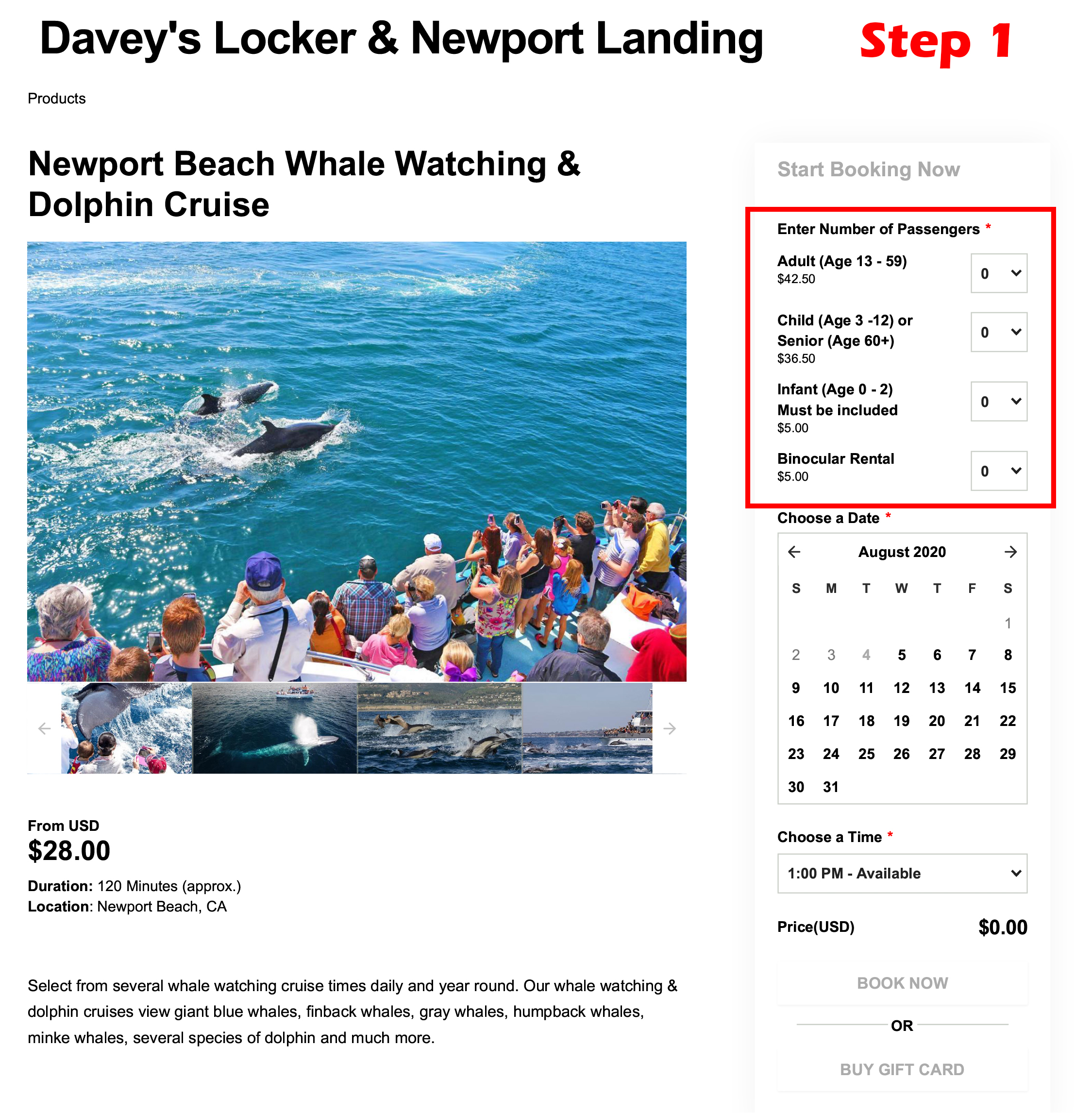 Groupon Redemption For Whale Watching Cruises With Davey’s Locker