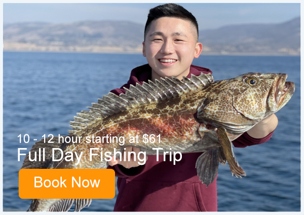 Looking For A Unique Christmas Gift? Go Deep Sea Fishing